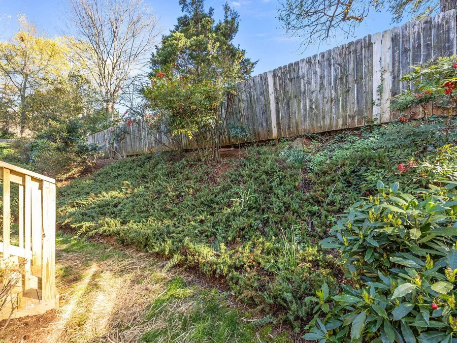 Ashland — Backyard